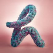 My project in 3D Lettering: Modelling and Texturising with Cinema 4D course. 3D, and 3D Lettering project by Rodrigo Carvalho - 11.05.2020