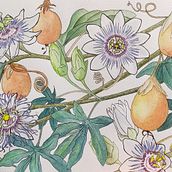 My project in Botanical Watercolor Sketchbook course Ein Projekt aus dem Bereich Traditionelle Illustration, Aquarellmalerei, Botanische Illustration und Sketchbook von distasodaniela - 06.11.2020