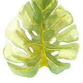 Meu projeto do curso: Aquarela botânica para estampados. Een project van Botanische illustratie van Amanda Gobus - 27.11.2020