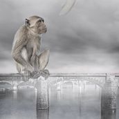 Mi Proyecto del curso: Fotomontaje surrealista con Photoshop . Photomontage project by Sebastián González - 11.09.2020