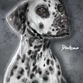 Meu projeto do curso: Ilustração naturalista de animais com Procreate. Animation project by Daniel Lemos - 11.09.2020