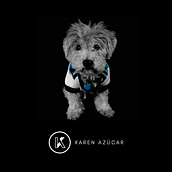 Karen Azúcar_Fotografías_de_mascotas. Photograph project by vanegaskaren24 - 11.10.2020