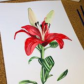 Mi Proyecto del curso: Ilustración botánica con acuarela Ein Projekt aus dem Bereich Design von XIMENA GONZALEZ - 11.11.2020