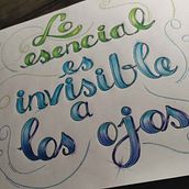 Mi frase favorita. Graphic Design project by Amalia de Escobar - 11.11.2020