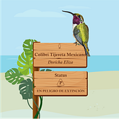Colibríes Mexicanos . Painting, and Watercolor Painting project by Natalia Cárdenas Rodriguez - 02.15.2021