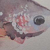 Exercices course watercolor for beginners of Ana Santos . Watercolor Painting project by Dinichert Sophie - 11.13.2020