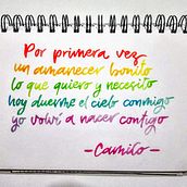 Mi Proyecto del curso: Caligrafía itálica con brush pen. Un progetto di Calligrafia, H, lettering e Lettering di Evelyn Albarracín - 14.11.2020