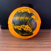 Mi Proyecto del curso: Mi primera Naranja :). Design projeto de Romario Lam - 20.11.2020