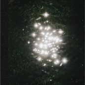 My Photo Book "Sympathy with small things when time stops" Ein Projekt aus dem Bereich Artistische Fotografie von Viktoria Binges - 11.11.2020