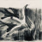 My project in The Art of Sketching: Transform Your Doodles into Art course. Creativit project by skanda_g_dhruv - 11.15.2020