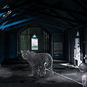 Mi Proyecto del curso: La visita del felino. Graphic Design, and Photomontage project by Jorge Camelio Barria - 11.18.2020