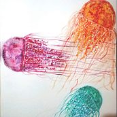 Proyecto "Medusas" del Taller de Acuarela Experimental. Watercolor Painting project by Ximena Tabares Hernández - 11.18.2020