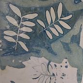 Cianotipia investigación . Fotografie de film de racero8 - 02.15.2021