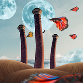 Ejercicios de Introducción a Adobe Photoshop. Un progetto di Design di Daniel Castro - 19.11.2020