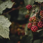 Argentina's Nature Ein Projekt aus dem Bereich Außenfotografie von Queen Kind - 20.11.2020