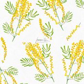 Pattern Mimosas . Traditional illustration, Botanical Illustration, Pattern Design, Watercolor Painting, and Fiber Arts project by Lorena Morales Alcaide - 11.20.2020