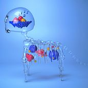 My project in Design of Moving 3D Characters course. 3D Character Design project by Lesia Vysheleska - 04.28.2021