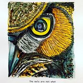 The owls are not what they seem . Un progetto di Illustrazione tradizionale di Giulia Alessio - 22.11.2020