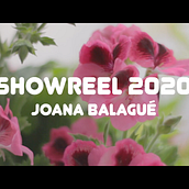 REEL 2020. Un progetto di Video editing e Produzione audiovisiva di Joana Balagué Casadó - 23.11.2020
