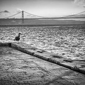 Lisbon from my eyes.. Un proyecto de Fotografía artística y Fotografía en exteriores de Pedro Valcárcel Rubio - 01.03.2020