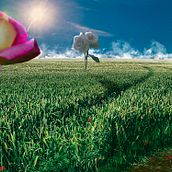 Mi Proyecto del curso: Matte Painting: creando mundos fotorrealistas. Photo Retouching project by josetsamuelhy - 11.25.2020