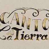My project in Introduction to Lettering with Procreate course. Digital Lettering, and Lettering project by Estelle Chambon - 11.25.2020