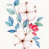 Curso Ilustración botánica con acuarela. Colección algodón. Botanical Illustration project by María José Rodríguez Gallego - 11.25.2020