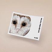 Postal Stamps - Owls. Digital Drawing, Graphic Design, Traditional illustration, and Vector Illustration project by Luísa Rocha - 11.26.2020