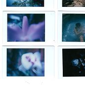 Fotografía botánica   . % Paola Ëast tarafından hazırlanan Film Fotoğrafçılığı, Ve Güzel Sanatlar Fotoğrafçılığı projesi - 11.27.2020