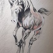 Carboncillo, Sanguina y Creta. Un progetto di Disegno a matita e Disegno artistico di Leonardo Cabrera Ramos - 27.11.2020