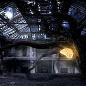 Lunar Butterfly. Photomontage project by Martín Fernández - 11.29.2020