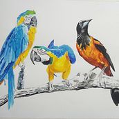 Meu projeto do curso: Técnicas experimentais de aquarela para principiantes  Ein Projekt aus dem Bereich Bildende Künste, Zeichnung und Traditionelle Illustration von Romário Santos - 27.11.2020