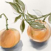 My project in Illustrating Nature: A Creative Exploration course. Drawing, and Painting project by Paula Montgomery - 11.29.2020