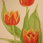 My watercolors Ein Projekt aus dem Bereich Aquarellmalerei von Ilaine Matos - 27.11.2020