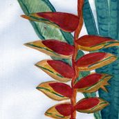 Birds of Paradise. Watercolor Painting project by arancillo.lea - 11.28.2020