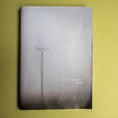 Retratos de Ausencia. Photograph project by Dany Vigil - 11.28.2020