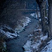 River in the Winter - Photography. Fine-Art Photograph, Outdoor Photograph, Photographic Composition, and Photograph project by Sambotin Georgiana - 12.28.2015
