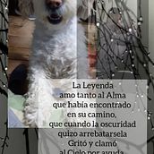 Mi Proyecto del curso: Creación y edición de contenido para Instagram Stories. Un proyecto de Instagram de Mabel Ballón - 30.11.2020