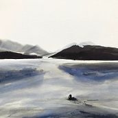 My project in Illustrating Nature: A Creative Exploration course. Ink Illustration project by Kaori Davies - 12.14.2020