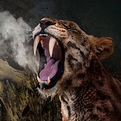 Fotomontaje: La Colina de los Tigres Dientes de Sable.. Concept Art, Digital Design, and Photomontage project by David Zurita Gómez - 12.03.2020