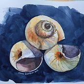 Nature. Fine Arts, and Traditional illustration project by Diane Gauthier - 04.24.2021