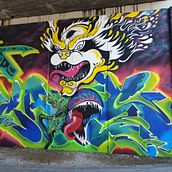 Lucas-Tigresa. Muro en Jerez de la Fra.. Street Art, and Architectural Illustration project by Pablo Catena - 12.04.2020