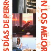Los días de perros son los mejores. Cop, and writing project by Margalida Mesquida Artigues - 12.05.2020