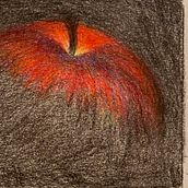 My project in Chiaroscuro Creative Portrait with Pencils course. Desenho projeto de Denise - 05.12.2020