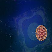 Music video "Song for the impatient" (work in progress). 3D Animation project by Tristan Currie - 12.12.2020