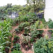Huerta Falcon. L, and scape Architecture project by Cristian Bohorquez - 12.05.2020