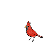 Beginner Birds. Digital Drawing, Digital Painting, and Drawing project by Alexandra Edwards - 05.04.2020
