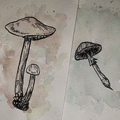 Illustrative Gift Frames . Un proyecto de Ilustración con tinta y Pintura a la acuarela de Tessa Wensel - 08.12.2020