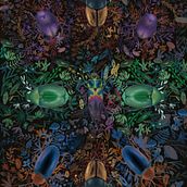 Mi Proyecto del curso: Ilustración científica aplicada al diseño de patrones Ein Projekt aus dem Bereich Bildende Künste von Veronica González López - 08.12.2020