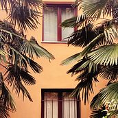 Misci for living beings . % Cemre Yeşil Gönenli tarafından hazırlanan Reklamcılık projesi - 12.09.2020